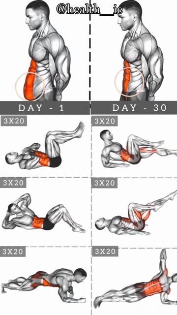 Bodyweight Back Workout, Abs And Obliques Workout, Core Muscle, Gym Workout Guide, Sixpack Workout, Bodybuilding Workouts Routines, Best Gym Workout, Gym Workout Planner, Abs Workout Video