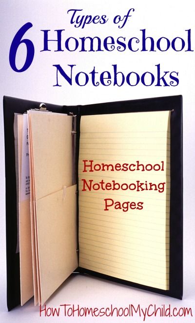 Learn about the types of notebooks you can use in homeschool from HowToHomeschoolMyChild.com Types Of Notebooks, Homeschool Notebook, Notebooking Ideas, Beautiful Illustration Art, Notebooking Homeschool, Homeschool Notebooking, Bible Notebook, Notebooking Pages, Homeschool Board