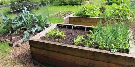 7 Steps to Starting Your Own Garden This Spring - Discover Central Massachusetts Raised Garden Designs, Easy Raised Garden Bed, Beds Wood, Raised Garden Bed Plans, Building Raised Garden Beds, Benefits Of Gardening, Building A Raised Garden, Diy Raised Garden, Video Garden