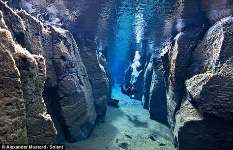 Drifting apart: Amazing underwater photos that show the growing gap between two tectonic plates Thingvellir National Park, Between Two Worlds, Plate Tectonics, Underwater Photos, China Travel, In The Ocean, Underwater World, Rio Grande, Atlantis