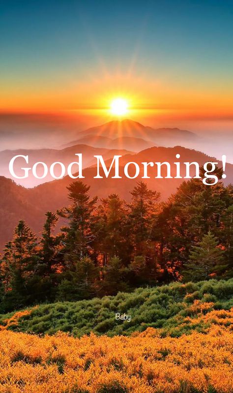 Good Morning! Good Morning Letter, Good Morning Nature Images, Good Morning Sun, Good Morning Clips, Good Sunday Morning, Finance Accounting, Free Good Morning Images, Positive Good Morning Quotes, Good Morning Happy Sunday