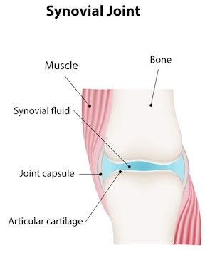 Are you low on fluid? Enjoy Plenty Of Fluids, Foods That Cause Inflammation In Joints, Fluids Science Grade 8, Fluid Simulation, Synovial Fluid, Viral Infection, Anti Inflammation, Under Pressure, Fermented Foods