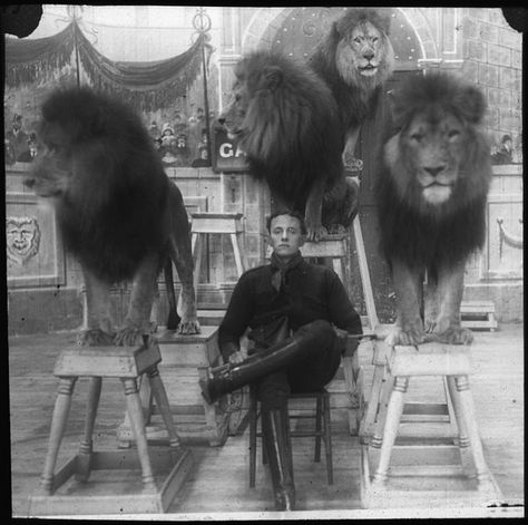 Old Circus, Lion Tamer, Discovery Museum, Circus Performers, Night Circus, Tyne And Wear, Printable Images, Big Top, Vintage Circus