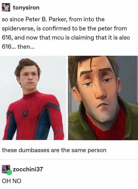 Peter B Parker, Into The Spiderverse, Funny Marvel Memes, Dc Memes, Dc Movies, Avengers Memes, Marvel Jokes, The Spider, Avengers Funny