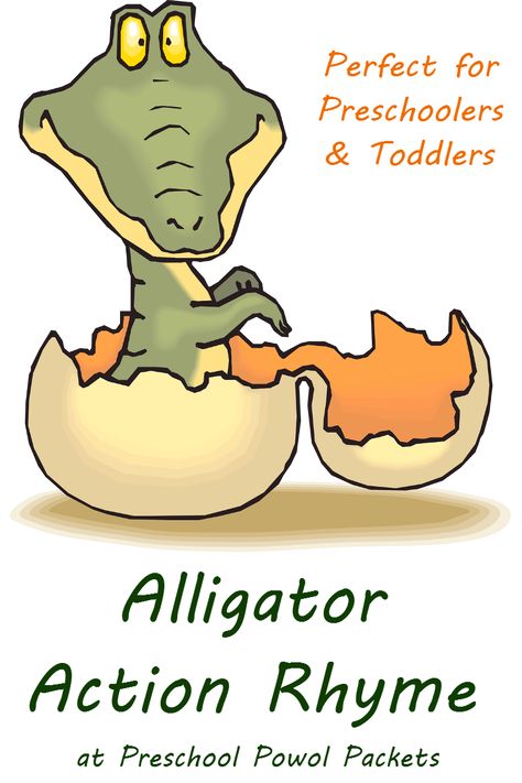 This alligator action rhyme for preschoolers is perfect for spring and summer fun, babies themes, and the letter A! Reptiles Preschool, Reptiles Activities, A Is For Alligator, Oviparous Animals, Swamp Theme, Classroom Songs, Zoo Theme, Rabbit Cages, Fun Outdoor Activities