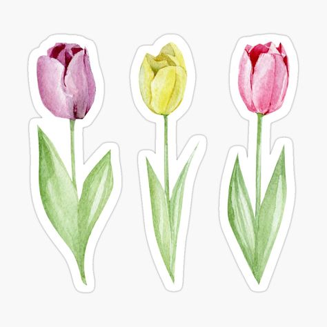 Tulips Stickers Printable, Tulips Stickers, Tulips Printable, Tulip Sticker, Watercolour Stickers, Tulip Drawing, Hat Template, Sticker Design Inspiration, Yellow Watercolor