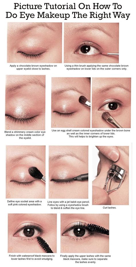 Picture Tutorial On How To Do Eye Makeup The Right Way Makeup Tips And Tricks, Picture Tutorial, Natural Makeup Tutorial, Apply Makeup, Stage Makeup, Organic Makeup, Eye Makeup Tips, Natural Eyes, School Looks