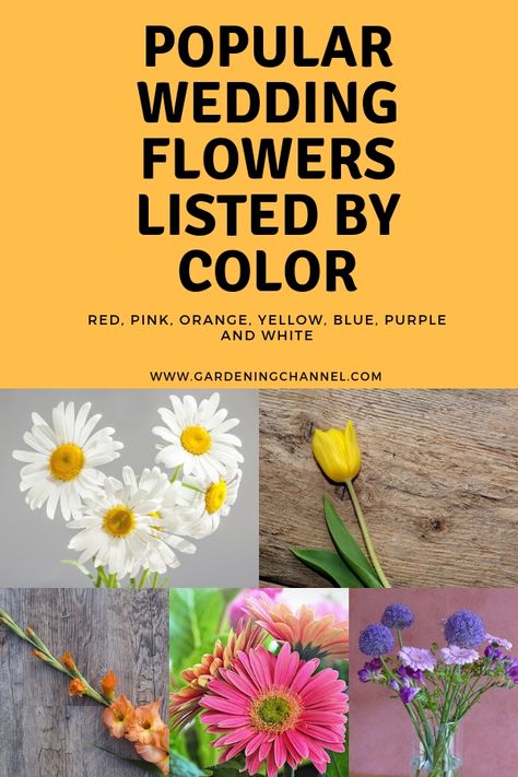 Don't miss these popular wedding flowers listed by color. Find the perfect red, pink, orange, yellow, blue, purple and white wedding flowers. #gardeningchannel #gardening #flowergardening #weddingflowers Popular Wedding Flowers, Burgundy Colour Palette, Yellow Wedding Colors, Wedding Color Schemes Spring, Popular Wedding Colors, Yellow Bouquets, Garden Tool Shed, List Of Flowers, Spring Wedding Colors