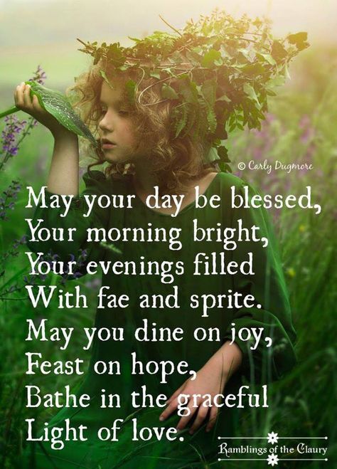 May your day be blessed, your morning bright, your evenings filled with fae and sprite. May your dine on joy, feast on hope, bathe in the graceful light of love. Fairy Quotes, Quote Images, Night Friends, Irish Quotes, Morning Blessings, Morning Affirmations, Morning Inspirational Quotes, Night Quotes, Morning Quotes