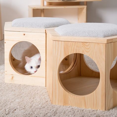 Cat Walkway, Pet Friendly Furniture, Bench Design, Modular Chair, Cat Steps, Wooden Plate, Cat Shelves, Chair Ottoman, Cat Beds