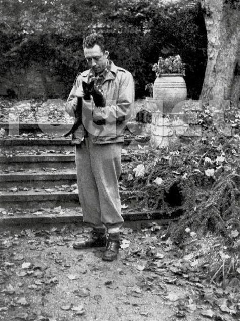 Camus and his cat Cigarette  ♥ Albert Camus Quotes, Camus Quotes, Writers And Poets, Albert Camus, Cat People, Philosophers, Poets, Old Photos, A Cat