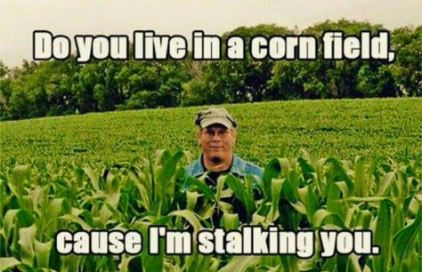 Do you live in a corn field, cause I'm stalking you.  #Funny #CornField #Stalking Pick Up Line Memes, Corny Pick Up Lines, Bad Pick Up Lines, Funny Pick, Pick Up Lines Cheesy, Corn Field, Pick Up Lines Funny, Corny Jokes, My Funny Valentine