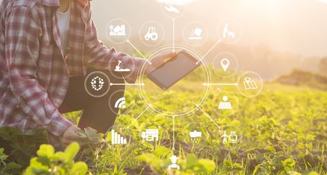 The Technology Behind Smart Farming: IoT in Agriculture 4.0 Domesticated Animals, Smart Farm, Farming Technology, Modern Agriculture, Agriculture Industry, Block Chain, Sustainable Agriculture, Food Security, Recruitment Agencies