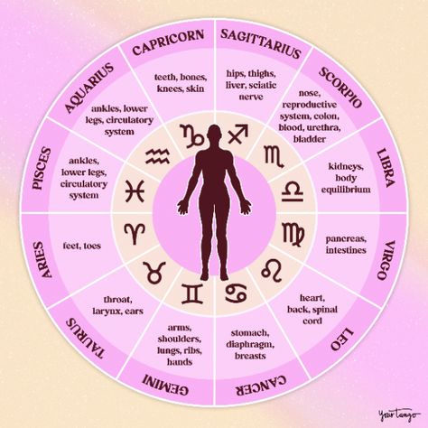 Body Astrology, Gemini Moodboard, Astrology 101, Astrology Meaning, Medical Astrology, Too Much Estrogen, High Vibrations, Birth Chart Astrology, Learn Astrology