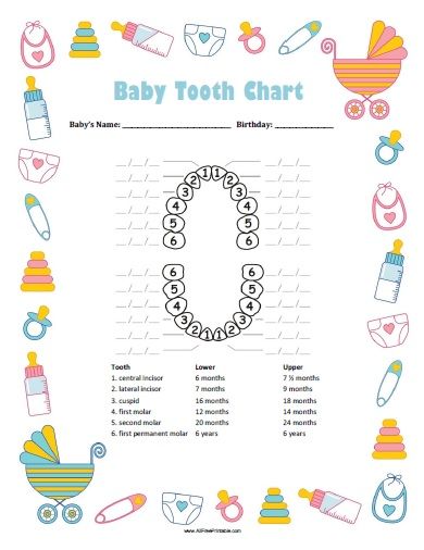 Free Printable Baby Boy Tooth Chart. Free Printable Baby Boy Tooth Chart, a great chart to track your baby's teeth eruption dates. If your want to record the proper primary teeth development, this baby tooth chart can help you. Keep track of first molar, second molar, canine (cuspid), lateral incisor, central incisor and first permanent molar. You can write the First Tooth Ideas, Baby Teething Chart, Baby Tooth Chart, Baby Journal Book, Teething Chart, Baby Book Pages, Baby Books Diy, Baby Planner, Baby Record Book