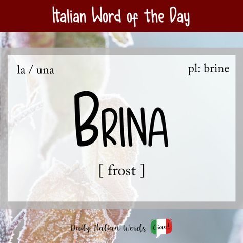 Italian Vocabulary, Italian Word, Italian Language Learning, Italian Phrases, Italian Quotes, Italian Words, Italian Culture, Nursery School, Learning Italian