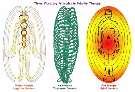 Polarity Therapy, Human Energy, Energy Therapy, The Oregon Trail, Everything Is Energy, Spirit Science, Kuantan, Energy Medicine, Life Force Energy