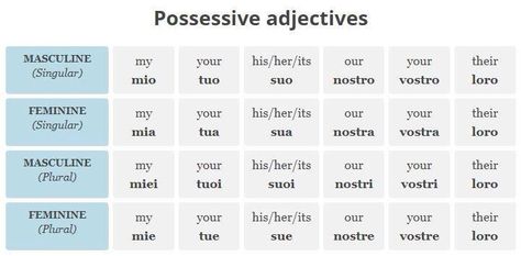 Italian Possessive Adjectives, Italian Possessive Pronouns, Italian Pronouns, Italian Adjectives, Free Italian Lessons, How To Speak Italian, Plural Words, Possessive Adjectives, Possessive Pronoun