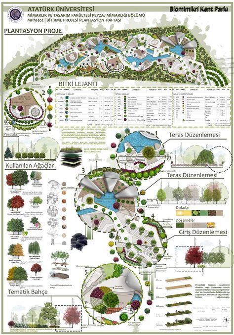 Expand your asset library and take your architectural to the next level! Landscape Architecture Concept Plan, Landscape Architecture Presentation, Site Plan Design, Landscape Architecture Diagram, Landscape Architecture Graphics, Streetscape Design, Landscape Architecture Plan, Architecture Design Presentation, Landscape And Urbanism Architecture