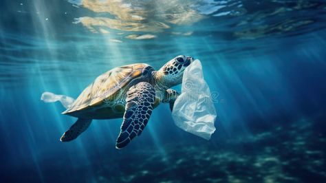 Turtle and fish swimming by polluted waters with plastic trash and garbage, ecology disaster damage concept, underwater stock photos Photos Underwater, Plastic Trash, Digital Storytelling, Fish Swimming, Plastic Waste, Peta, Soft Pastel, Ecology, Art Ideas