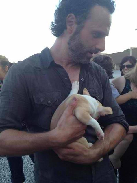 Now that's just cuteness ALL over! ;) Andy Lincoln, Twd Funny, Puppy Baby, Walking Dead Cast, Colin O'donoghue, Blonde Hair Blue Eyes, Andrew Lincoln, Stuff And Thangs, Pinturas Disney