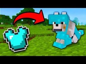 8 SECRET Things You Can Make in Minecraft! (Pocket Edition, PS4/3, Xbox, Switch, PC) - YouTube Wolf Armor, Dog Armor, Minecraft Wolf, Minecraft Houses Xbox, Minecraft Secrets, Minecraft Dogs, Minecraft Cheats, Minecraft Seeds, Bangunan Minecraft