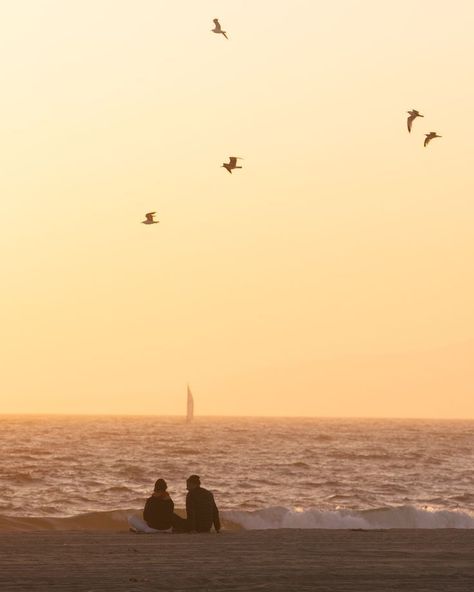 Sitting At Beach Aesthetic, Love On The Beach Aesthetic, Sitting At The Beach Aesthetic, Couple Sitting Aesthetic, Couple Ocean Aesthetic, Birds On The Beach, Sunrise Film Photography, Beach Film Photography Couple, Yellow Aesthetic Couple