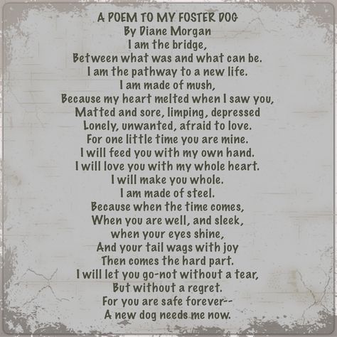 A Poem to my Foster Dog Foster Dog Quotes, Rescue Dog Quotes, Animal Rescue Quotes, Rescue Quotes, Best Dog Quotes, Dog Photography Poses, Foster Puppies, Dogs Quotes, Dog Mom Quotes