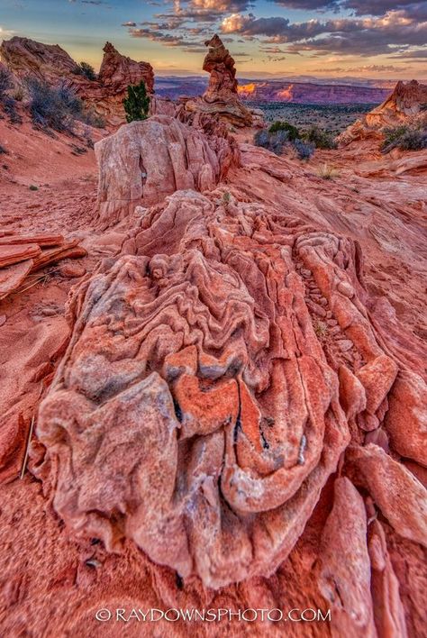 I Won The Lottery, Coyote Buttes, Won The Lottery, The Lottery, Nice Places, American Southwest, Winning The Lottery, Four Corners, I Win