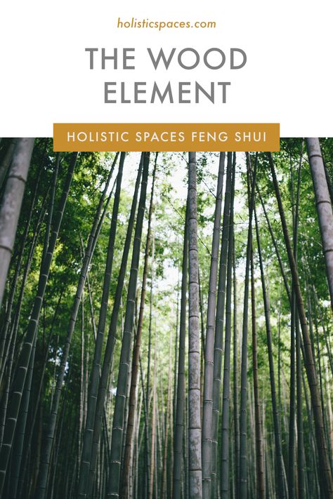 Feng Shui Wood Element Decor, Feng Shui Wood Element, Feng Shui Kitchen, Wood Element, Feng Shui Wealth, Feng Shui Bedroom, Loving Kindness, Feng Shui House, Feng Shui Tips