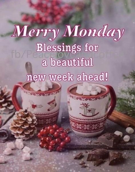 Merry Monday, Mistletoe Christmas, Monday Blessings, Desktop Background, Morning Everyone, Good Morning Everyone, Have A Wonderful Day, Wonderful Day, New Week