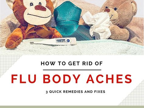 Body Aches Remedies, Natural Add Remedies, Cold Or Allergies, Natural Remedies For Migraines, Body Aches, Sick Remedies, High Fever, Cold Home Remedies, Holistic Remedies