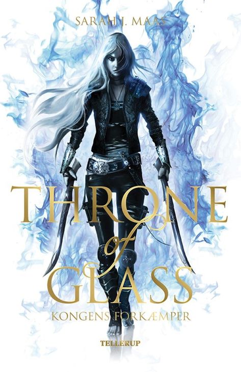 Throne Of Glass Fanart, Celaena Sardothien, Throne Of Glass Books, Glass Book, Throne Of Glass Series, The Pirate King, Fantasy Books To Read, Sarah J Maas Books, Puzzle Books