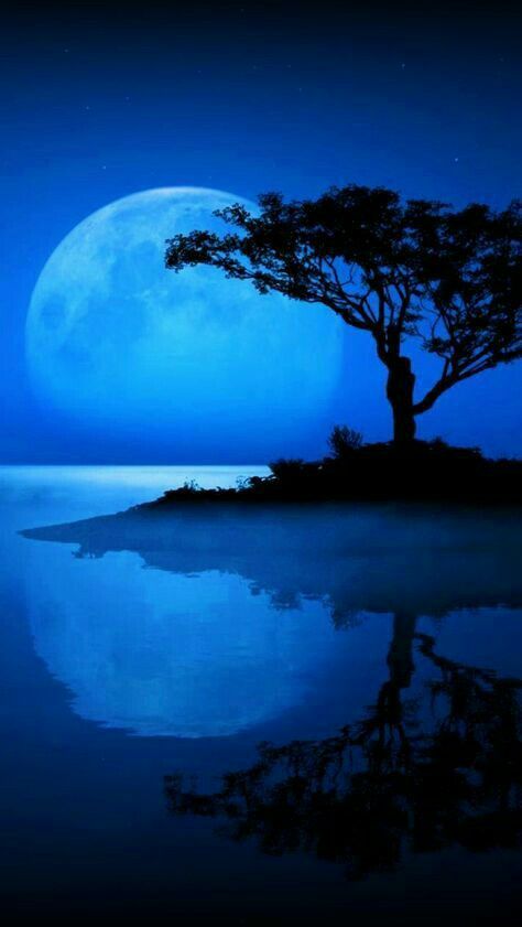 Cool Blue Moon. Nature Scene. Size; 9X16. Free Wallpaper. Panorama Landscape, Wallpaper Photo Gallery, Matka Natura, Shoot The Moon, Belle Nature, Wallpaper Photo, Moon Pictures, Beautiful Moon, Jolie Photo