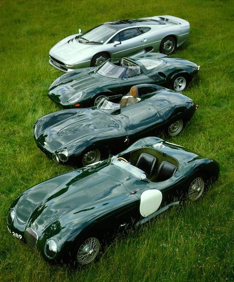 Jaguar C Type, Jaguar Xj13, Jaguar Sport, Jaguar Xj220, Jaguar Type, Jaguar (cars), Jaguar Daimler, Jaguar Xk120, Jaguar S Type