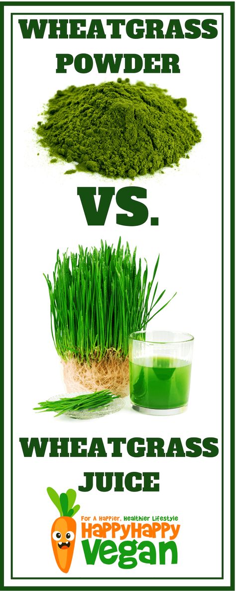 What's the best wheatgrass powder on the market? Which organic supplement should you be mixing in your smoothies? Find out here! Wheatgrass Smoothie Recipe, Benefits Of Wheatgrass Powder, Wheatgrass Powder Recipes, Wheatgrass Recipes, Pitta Diet, Wheatgrass Benefits, Wheatgrass Smoothie, Wheat Grass Shots, Wheatgrass Powder