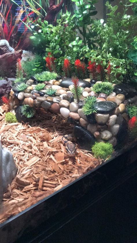 DIY Ball Python Hide Ball Python Cage, Tortoise Aquarium, Bearded Dragon Terrarium Ideas, Snake Cages, Diy Reptile, Snake Terrarium, Snake Hides, Snake Enclosure, Reptile Hide