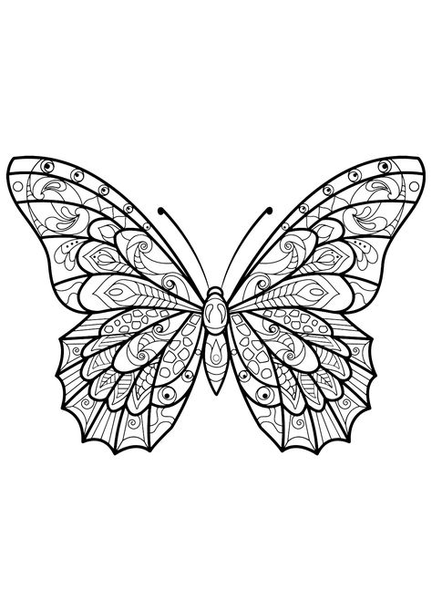 Butterfly beautiful patterns 3 - Butterfly with beautiful patterns - 3. From the gallery : Insects. Source : Printable Coloring Pages for Adults by Peksel. Just Color : Discover all our printable Coloring Pages for Adults, to print or download for free ! Butterfly Pictures To Color, Butterfly Coloring Pages, Insect Coloring Pages, Butterfly Coloring, Butterfly Mandala, Rainbow Canvas, Simple Butterfly, Butterfly Printable, Easy Coloring Pages