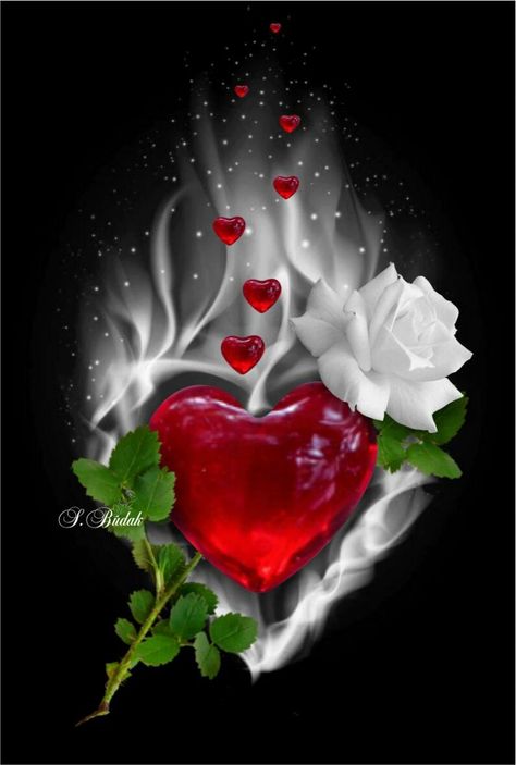 White Roses, Red Heart, Black Background, Roses, Red, White, Black