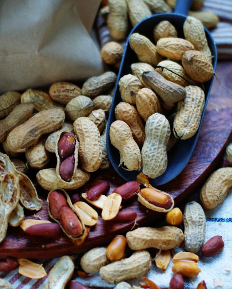 Salted Roasted Peanuts Recipe, Spicy Roasted Peanuts Recipe, Roasted Peas, Raw Peanuts, Brittle Recipes, Peanut Recipes, Stuffed Shells Recipe, Nut Recipes, Spicy Peanuts