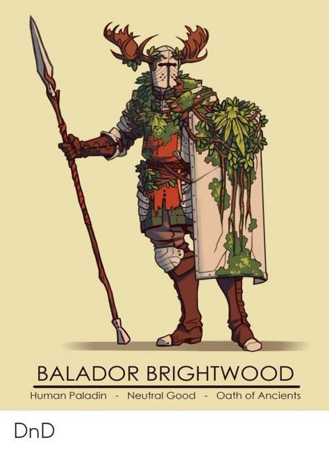 Human Paladin, Dnd Paladin, Good Meme, Knight Art, D&d Dungeons And Dragons, Dungeons And Dragons Characters, Dungeons And Dragons Homebrew, Dnd Ideas, Dnd Art