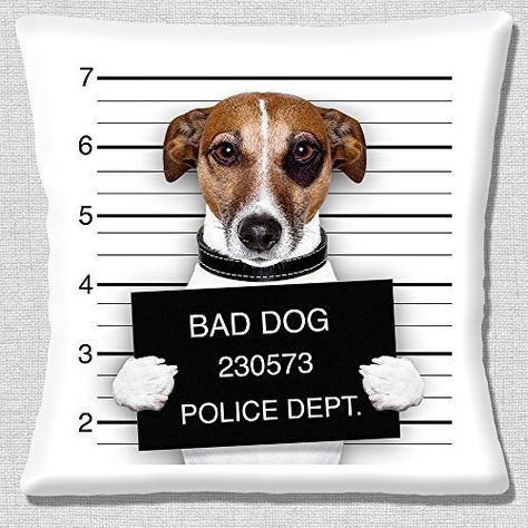 Jack Russell, Tan White, Bad Dog Mug Shot - 16" (40cm) Pillow Cushion Cover Jack Russell Dogs, Bad Art, Bad Photos, Bad Picture, Jack Russel, Bad Dog, Poster Pictures, Garden Wall Art, Dog Drawing