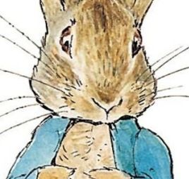 10 of the Most Memorable Rabbits in Fiction - Scottish Book Trust Peter Rabbit Illustration, Peter Rabbit Characters, Beatrix Potter Illustrations, Peter Rabbit Books, Beatrice Potter, Peter Rabbit And Friends, Benjamin Bunny, Rabbit Illustration, Rabbit Painting