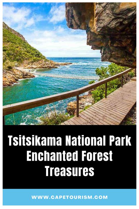 Located in the heart of the Garden Route in the Western Cape province, Tsitsikamma National Park is an enchanted forest for nature lovers. The park covers an area of 80 square kilometres and is home to an abundance of unique flora and fauna, dramatic coastal landscapes, and awe-inspiring natural wonders. From hiking and biking to kayaking and bungee jumping. #exploretsitsikamma #naturewanderlust #nationalparkadventures #travelgoals #enchantedforest #wanderlustjourney Bhitarkanika National Park, Mystical Places Enchanted Forest, Tsitsikamma National Park, Planets Images, Shikotsu-toya National Park, Mindset Activities, Knysna Forest South Africa, Bungee Jumping, Plant Images