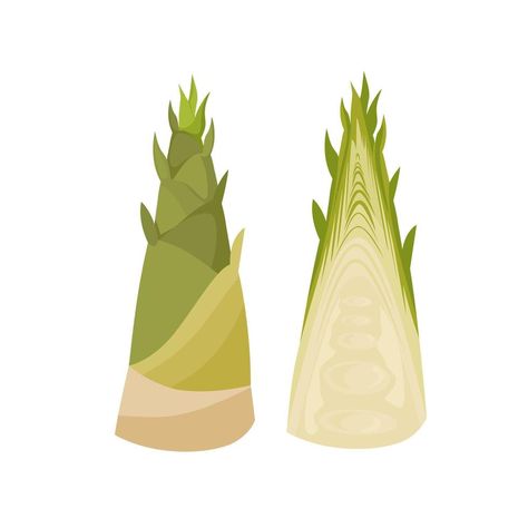 Bamboo Shoot, Bamboo Shoots, Label Design, Vector Art, White Background, Vector Free, Vector Illustration, Clip Art