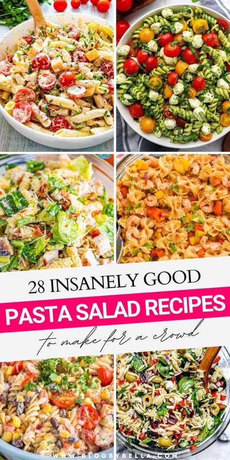 pasta salad recipes Pasta Noodle Salad Recipes, Pasta Salad Recipes Vinaigrette, Pot Luck Pasta Salad Recipes, Pasta Salad Recipes Winter, Different Kinds Of Pasta Salads, Fun Pasta Salad Recipes, Pasta Salad Recipes Kid Friendly, Easy Creamy Pasta Salad, Basic Pasta Salad Recipes