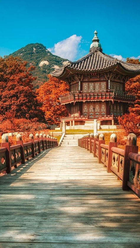 Beautiful Seoul in autumn South Korea Photography, Gyeongju, South Korea Seoul, South Korea Travel, Korea Travel, Travel South, Seoul South Korea, Bhutan, Travel Goals