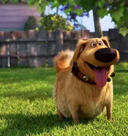 Dug Days, each episode focuses on Dug and Carl encountering something new in their quaint suburban world. Like puppies and fireworks! Dug Days is premiering in fall 2021. Doug From Up, Pixar Quotes, Tv Cords, Pinterest Widget, Disney Pixar Up, Disney Things, Disney Dogs, Doll Ideas, Baby Quilts