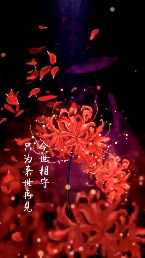 Spider Lily Flower Wallpaper, Red Spider Lily Drawing, Red Spider Lily Wallpaper, Spider Lily Art, Spider Lily Wallpaper, Lycoris Radiata, Tattoo Wallpaper, Whats Wallpaper, Japanese Wallpaper Iphone