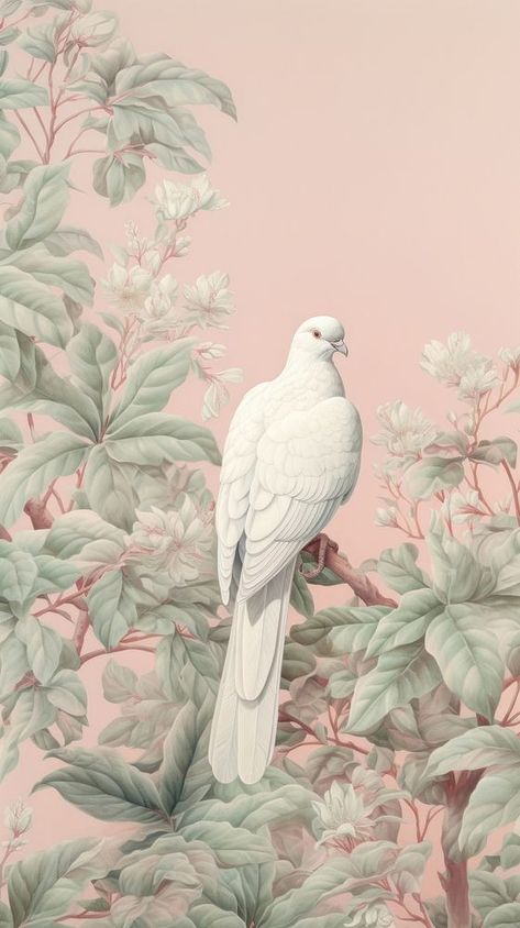 Wallpaper dove animal pigeon bird. | free image by rawpixel.com / Bambamfefe Pigeon Wallpaper, Dove Animal, Parrot Wallpaper, Cockatoo Bird, White Pigeon, Pigeon Bird, Green Velvet Fabric, Illustration Wallpaper, Bird Free